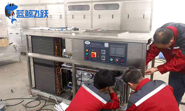 肇庆妖精WWW视频免费高清最新期优质供应商推荐与选购指南