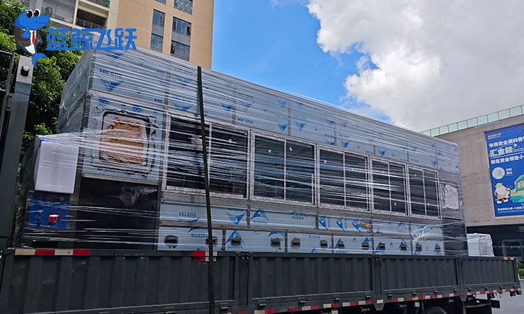 妖精WWW视频免费高清最新期中的超声波类型与其应用解析