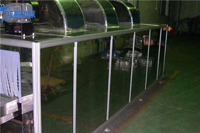 妖精WWW视频免费高清最新期的正常使用