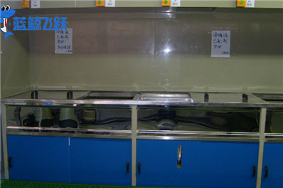 清洗未来科技：超声波清洗设备的前沿创新